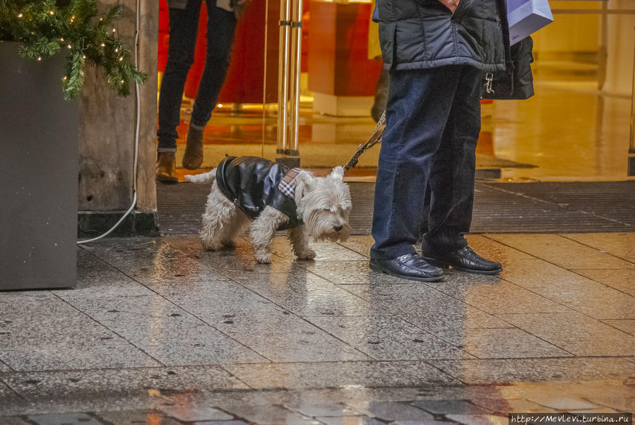 В дождик в Париже Париж, Франция