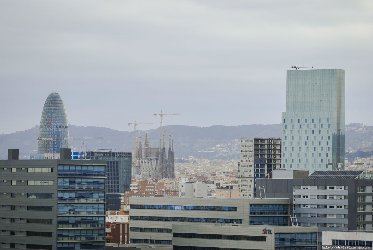 Обозреваем Барселону Барселона, Испания