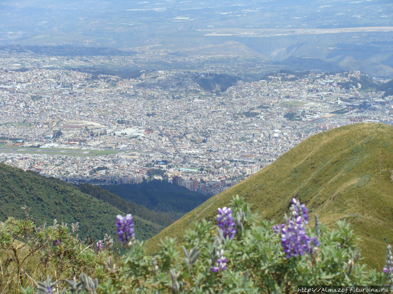 Город Кито не про китов, а про вулканы.