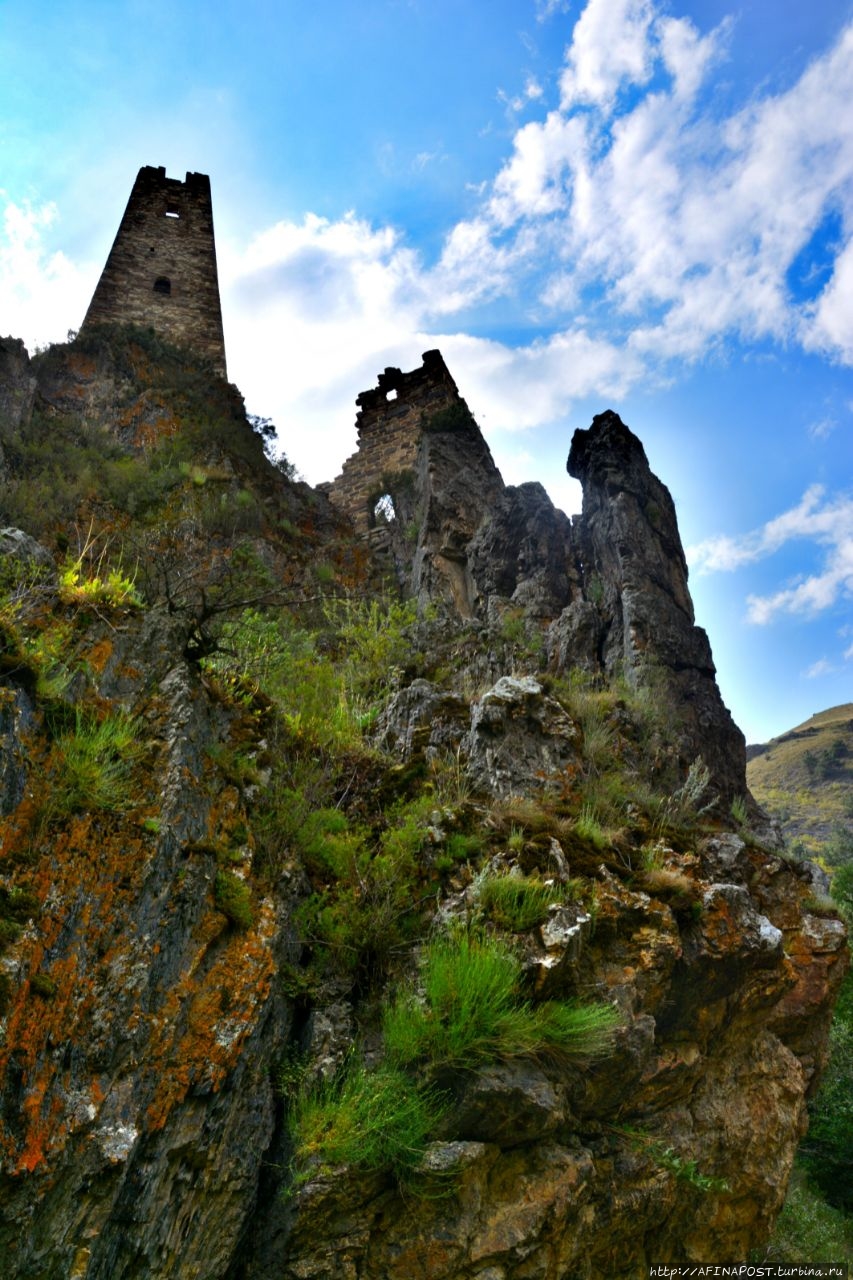 Вовнушки Вовнушки (замковый комплекс), Россия