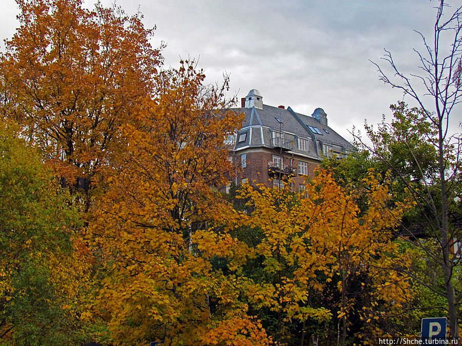 вверху показался университет