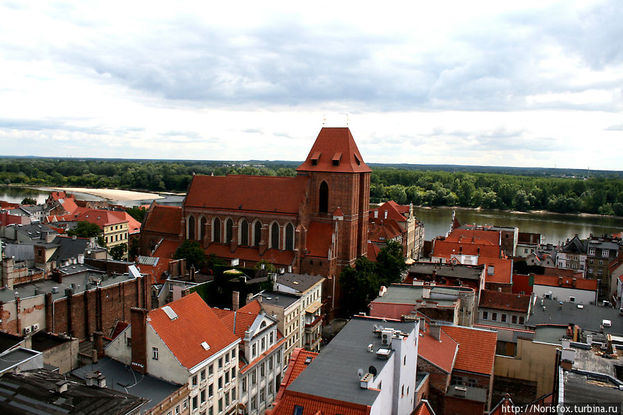 Таким город видят птицы Торунь, Польша