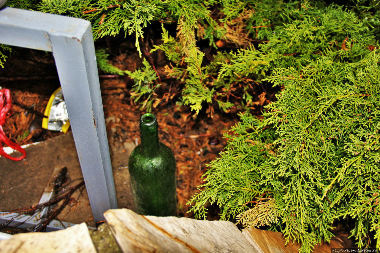 Бутылка в парке. Возможно там лежали сто баксов из орла и решки Белград, Сербия