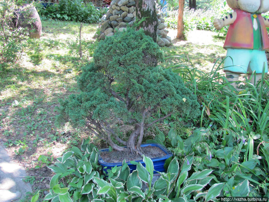 Зоопарк Сеула. Третья часть. Сеул, Республика Корея