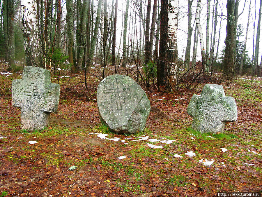Неподалёку от Мишки  Камни-валуны с поклонными крестами XI века из села Пречистая Каменка Кувшиновского района Тверской области. Самая заря крещения Руси. Начало Татаро-монгольского ига, хотя есть мнение, что его, ига, возможно, и не было. Но тэто —  тема отдельного разговора. Василево, Россия