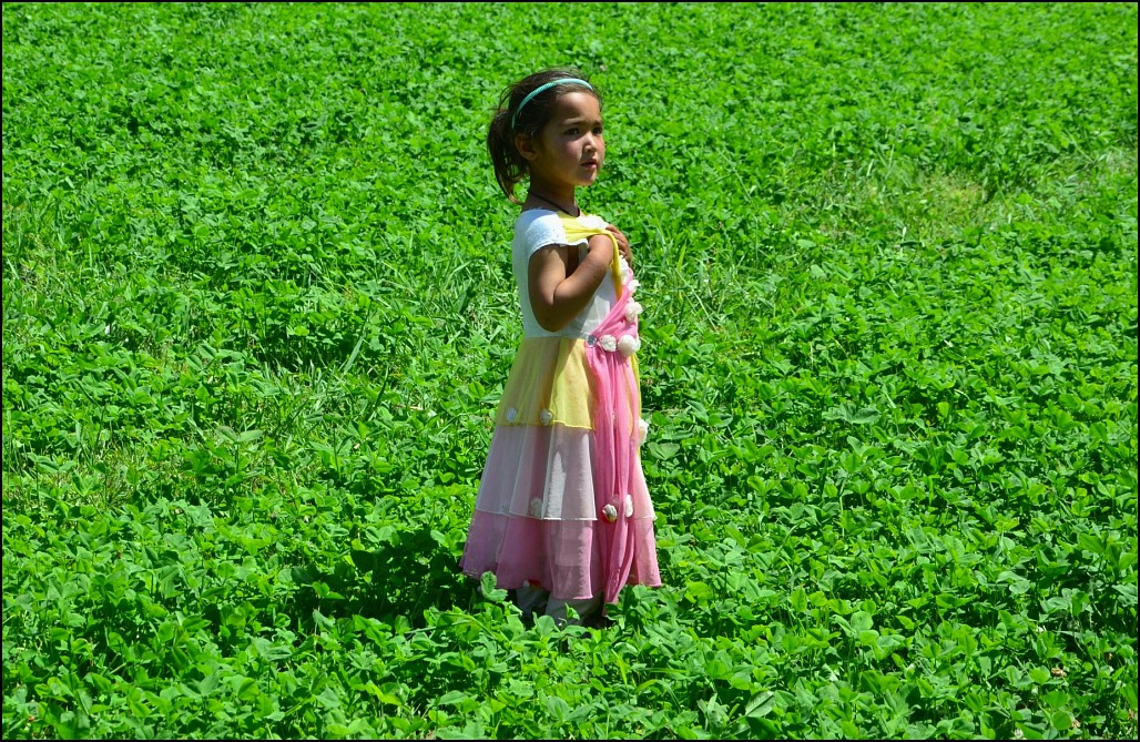 Ж Гилгит, Пакистан