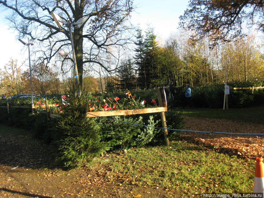 Почувствуйте себя счастливее Нортхемптон, Великобритания