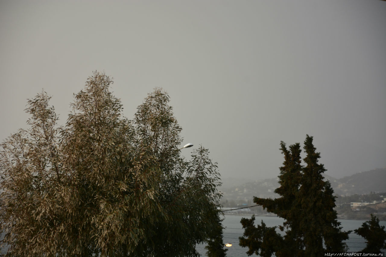 Все оттенки серого