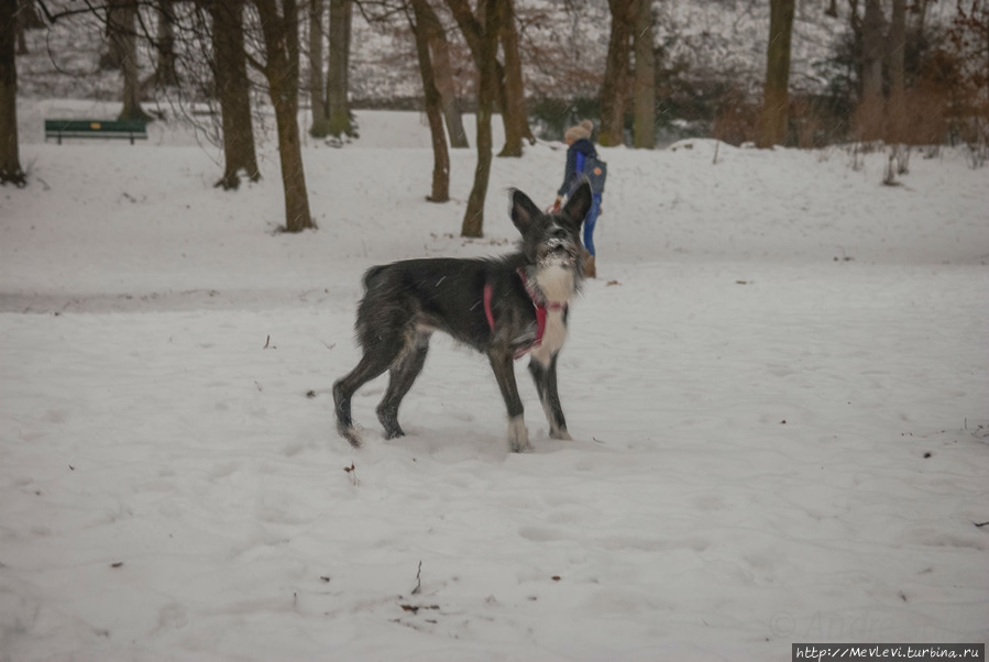 На берегу Изара Мюнхен, Германия