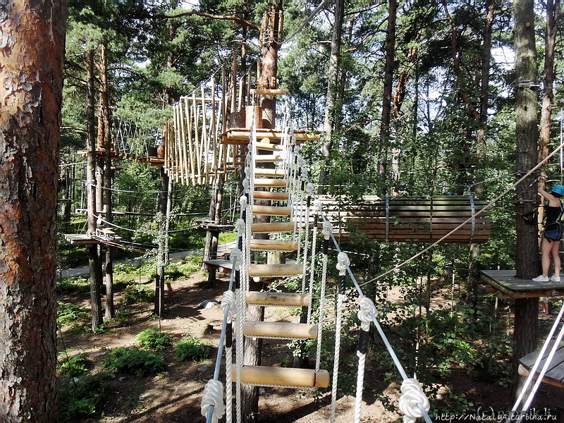 Верёвочный ПАРК ПРИКЛЮЧЕНИЙ KORKEE (Adventure Park Korkee) в Хельсинки, Финляндия