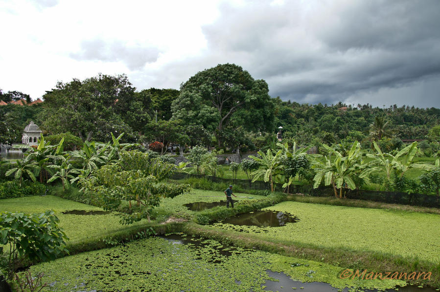 Индонезия. Бали: водный дворец Таман Уджунг Карангасем, Индонезия