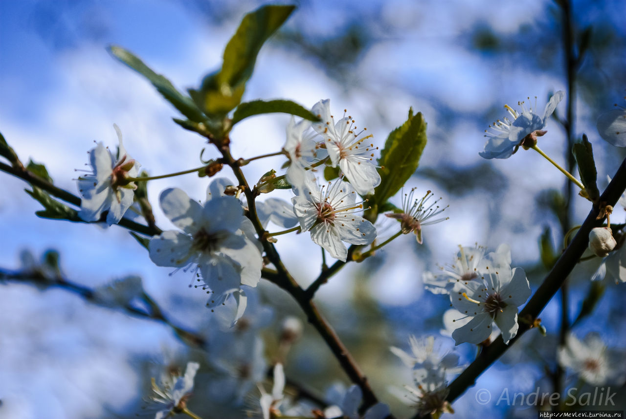 Daugavgrīvas Cietoksnis Рига, Латвия