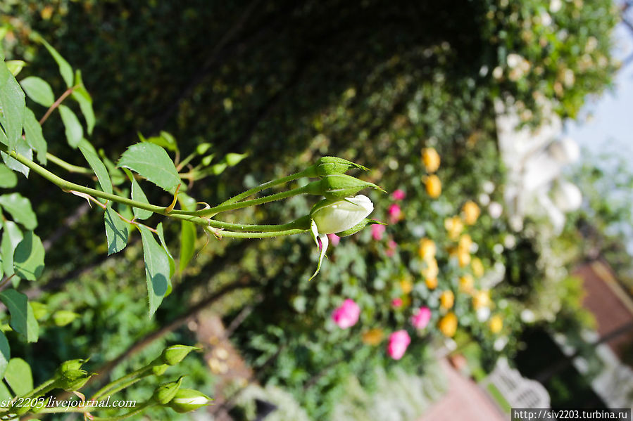 Сад Мечты Катманду, Непал