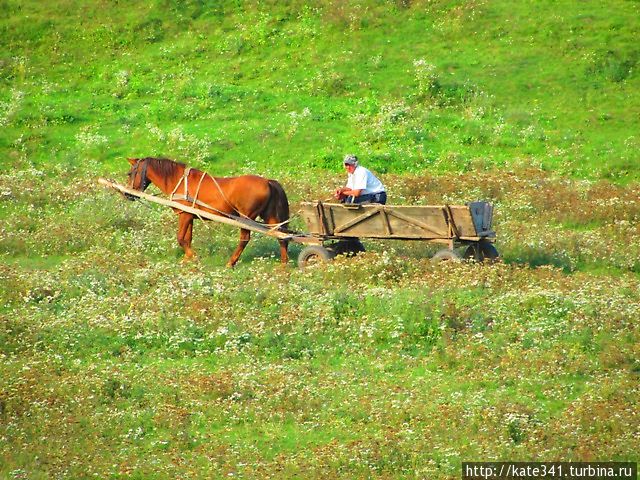 140 лет Почаевскому крестному ходу, 280 км за 7 дней. Опыт! Почаев, Украина