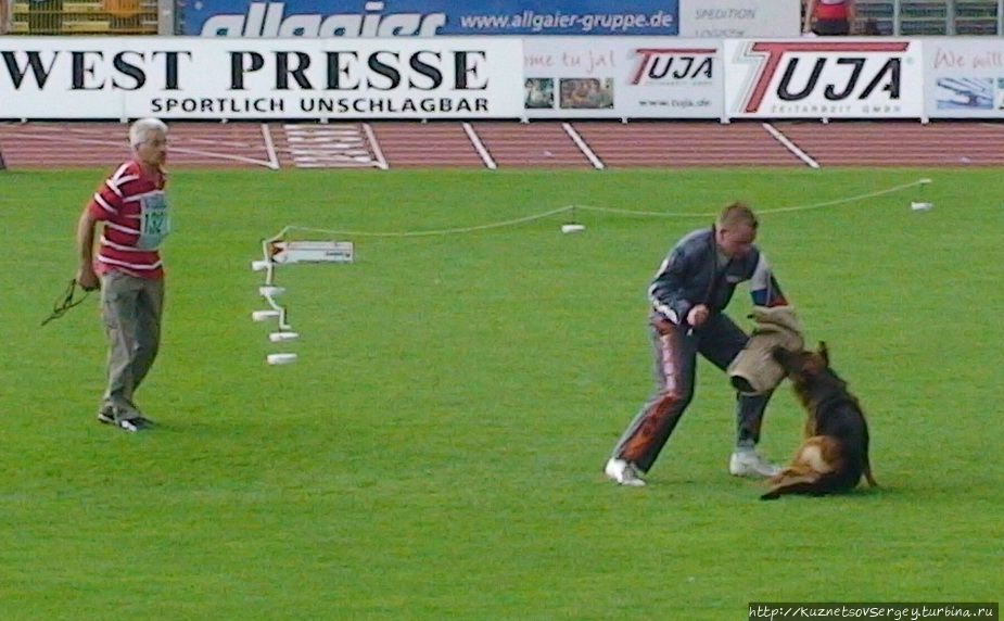 Зигер в Ульме Ульм, Германия Зигер в Ульме Ульм, Германия