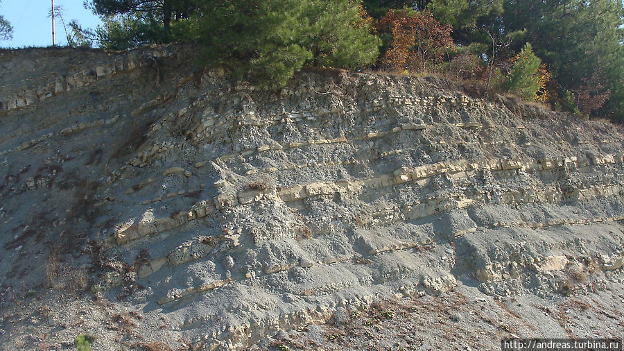 Выступы мергеля