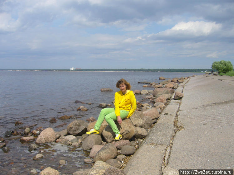 Побережье Финского залива