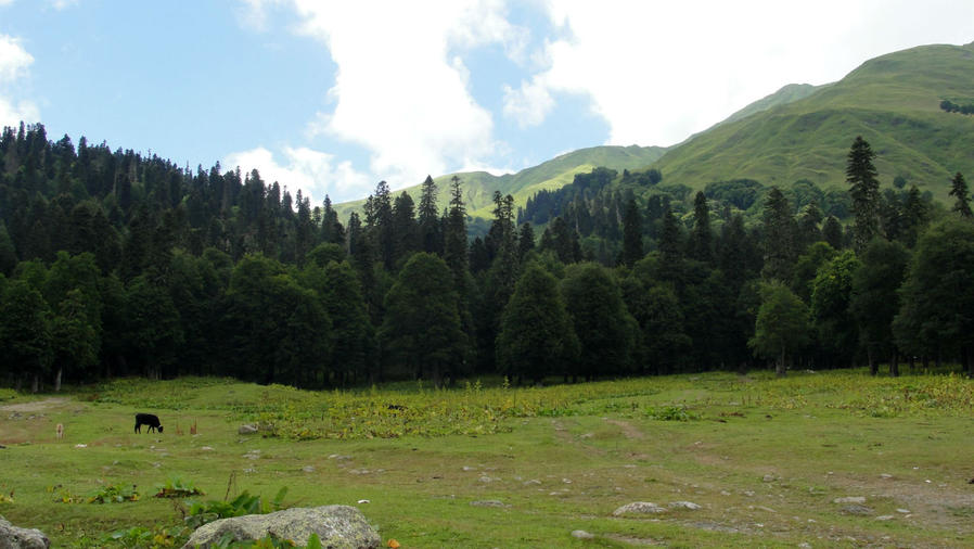 Альпийские луга Авадхары Авадхара, Абхазия