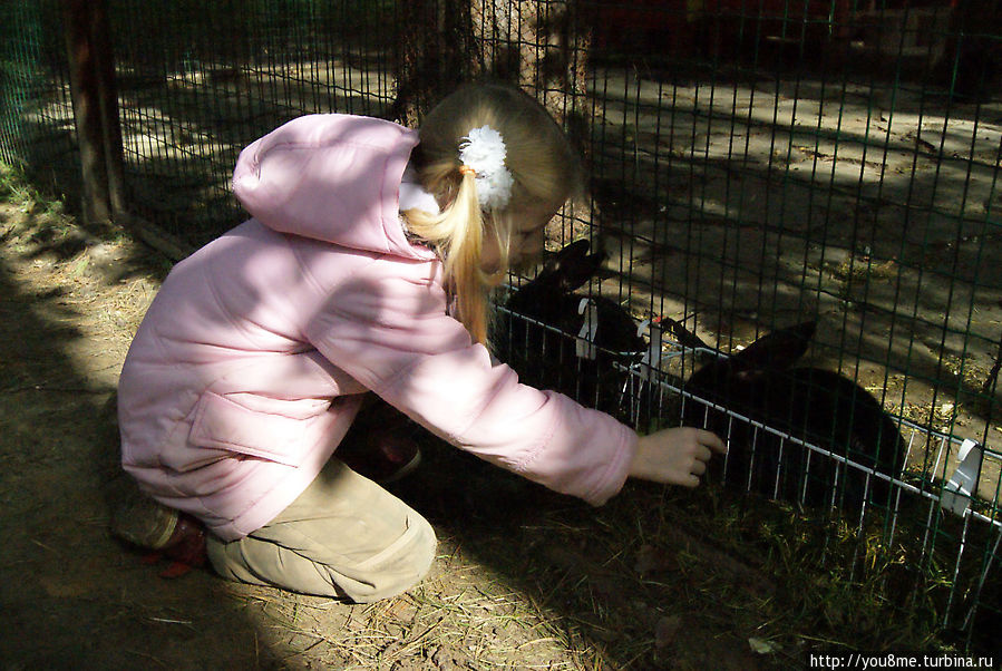 Поймайте мне кролика Нижегородская область, Россия