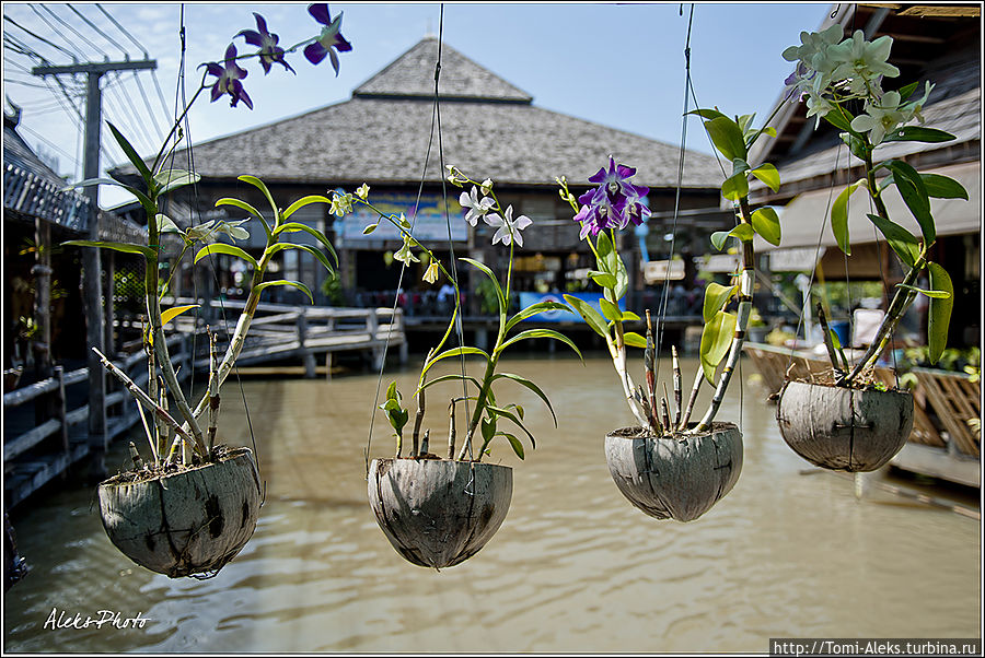 Уютно висящие цветы в горшках из кокоса...
* Паттайя, Таиланд