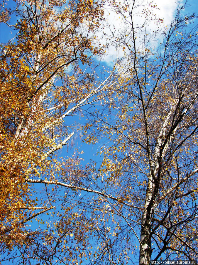 Осенняя медитация Киев, Украина