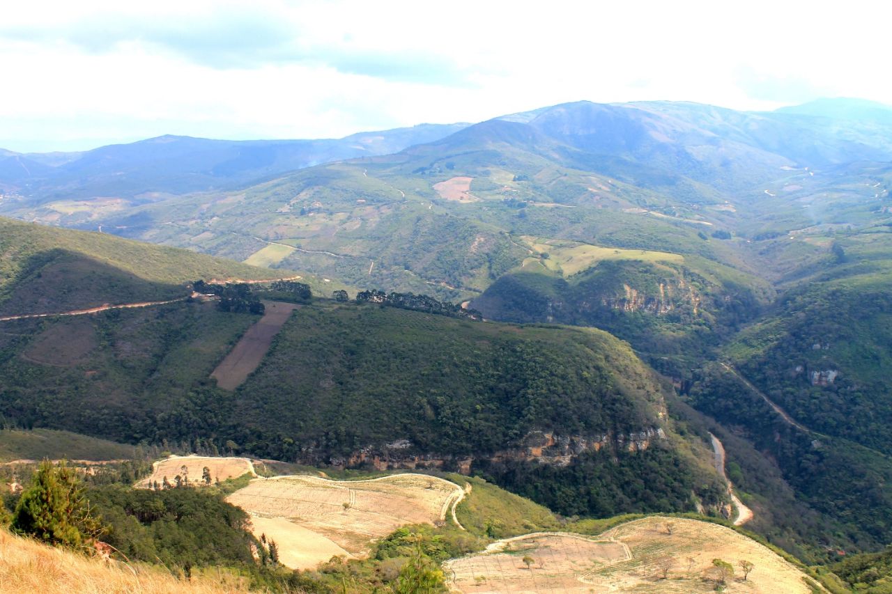 фото амугуса