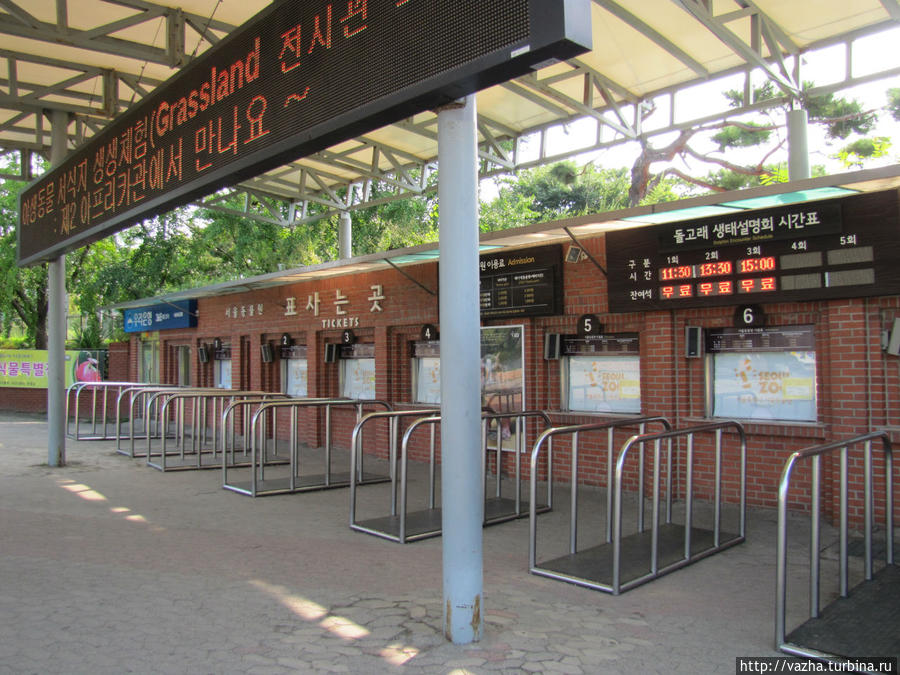 Зоопарк Сеула. Первая часть. Сеул, Республика Корея