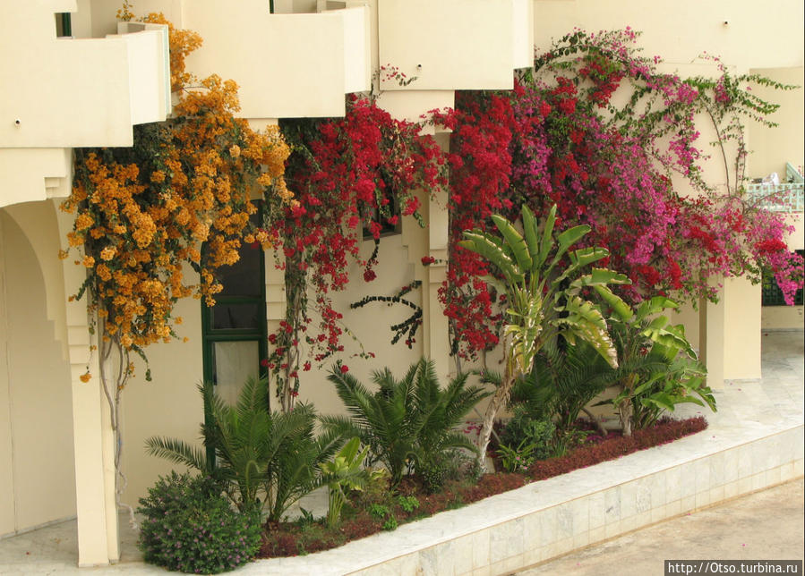 Талассотерапия Тунис