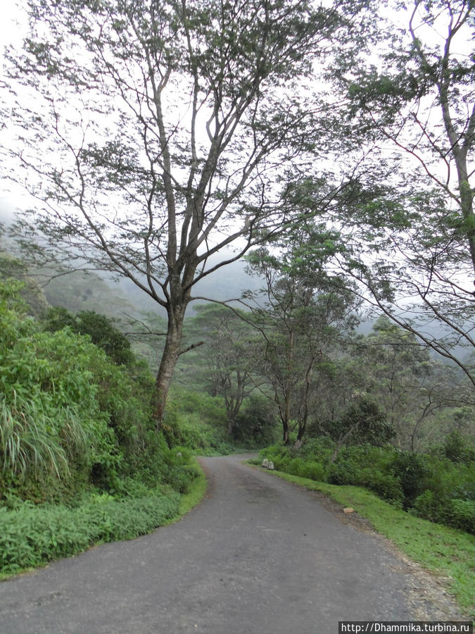 Хребет Наклс ( Knuckles Mountain Range ) Матале, Шри-Ланка