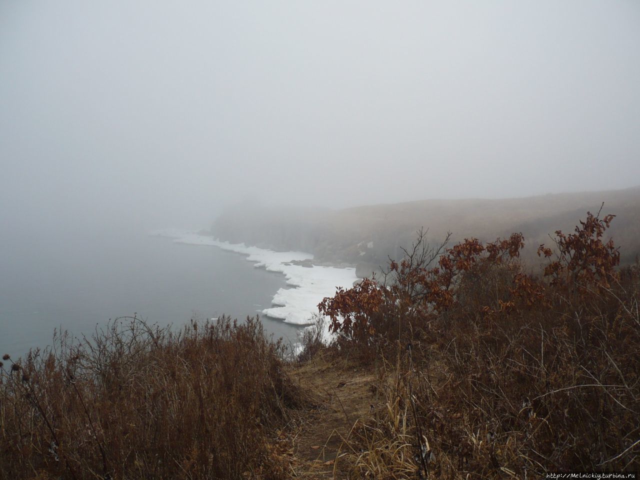 Прогулка по туманному полуострову Брюса