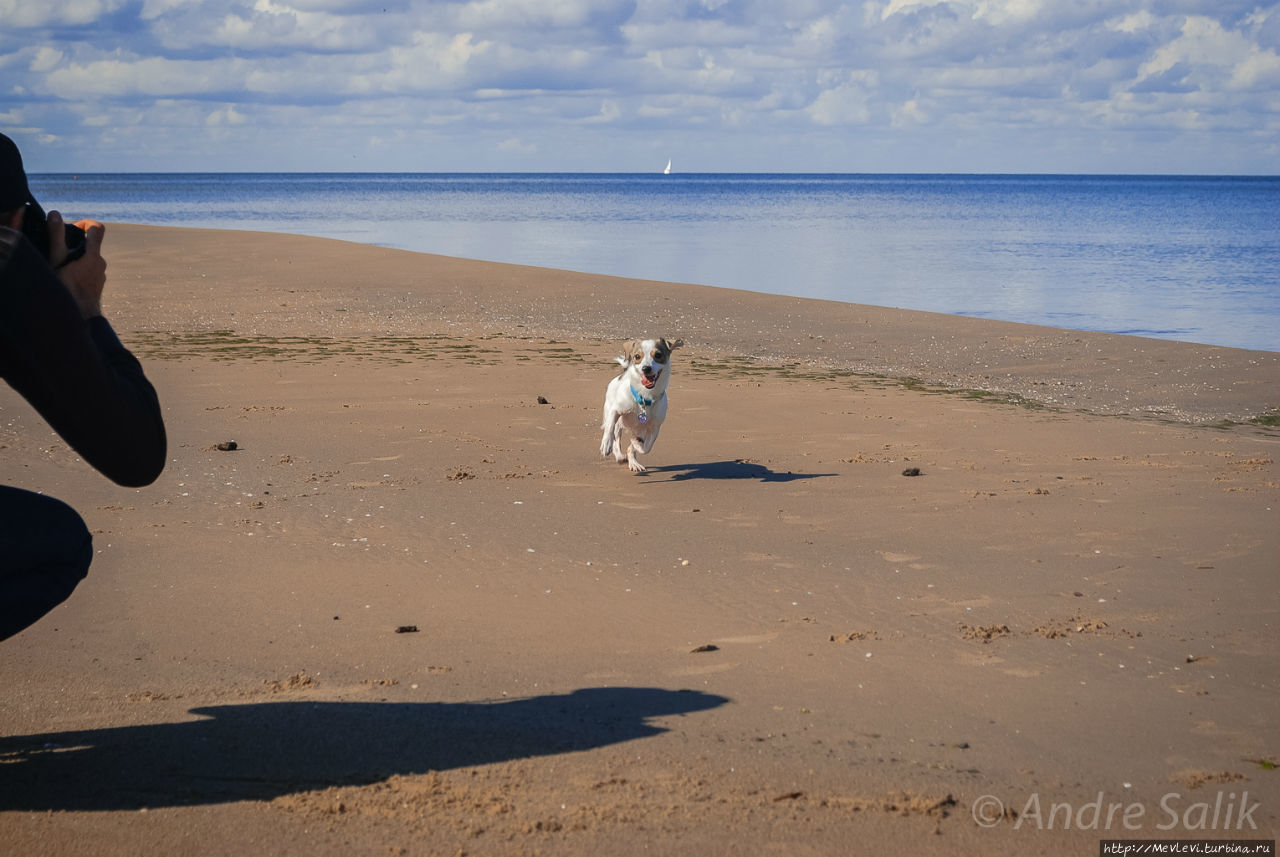 Природный парк Ragakāpa. Юрмала, Латвия