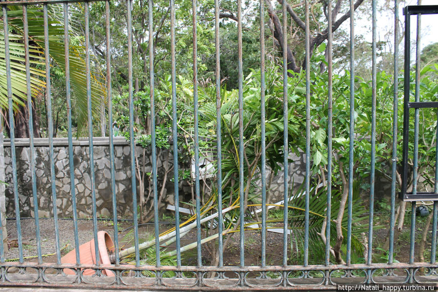 Последствия стихии Сен-Дени, Реюньон