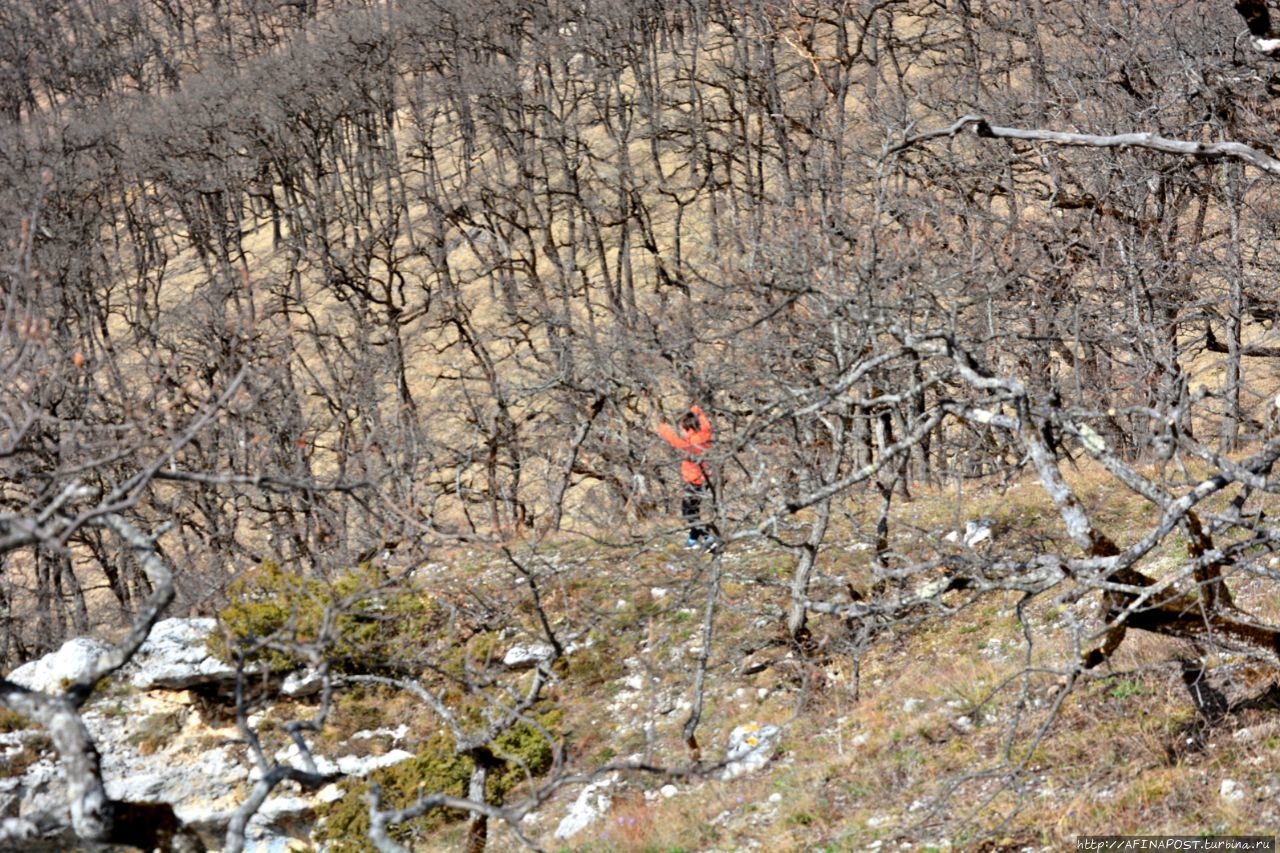 Скала Чёртов палец Даховская, Россия