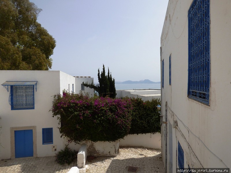 Сиди-Бу-Саид — бело-голубой город влюблённых Сиди-Бу-Саид, Тунис