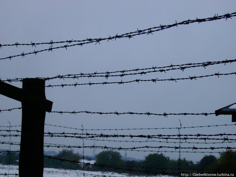 Посещение концлагеря Майданек Люблин, Польша