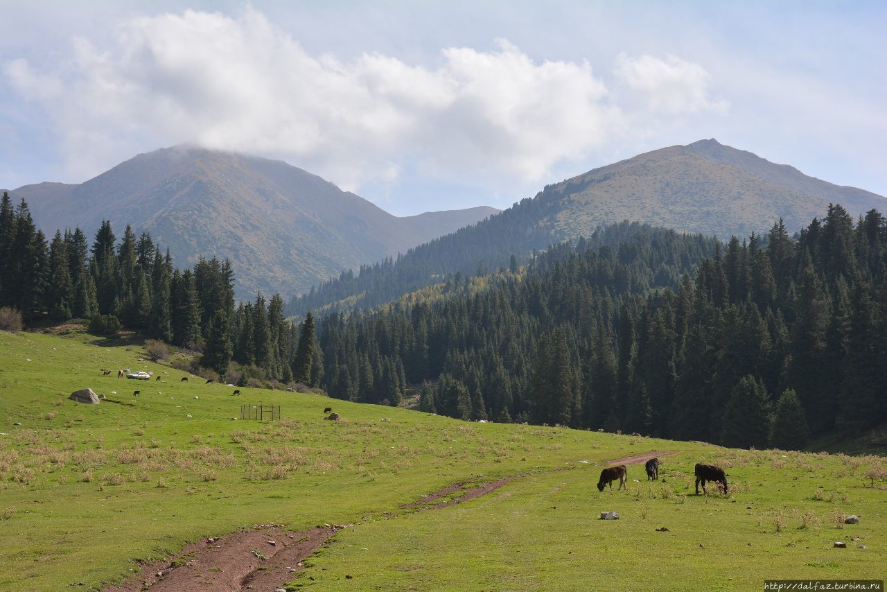 В горах Кыргызстана Киргизия