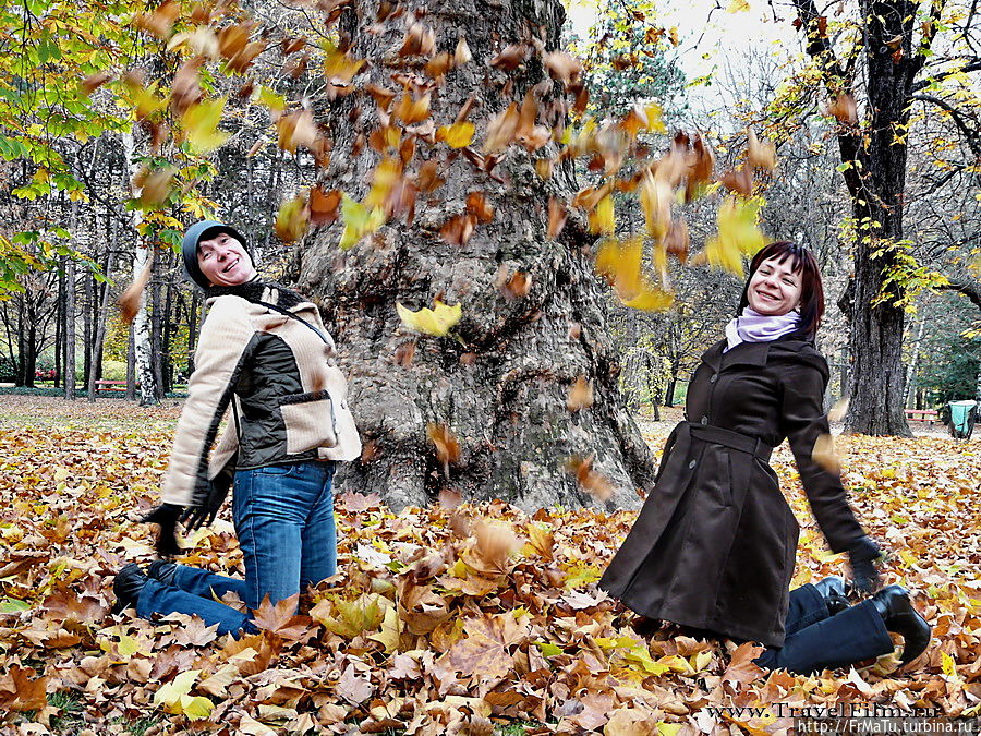 Золотая осень в Будапеште