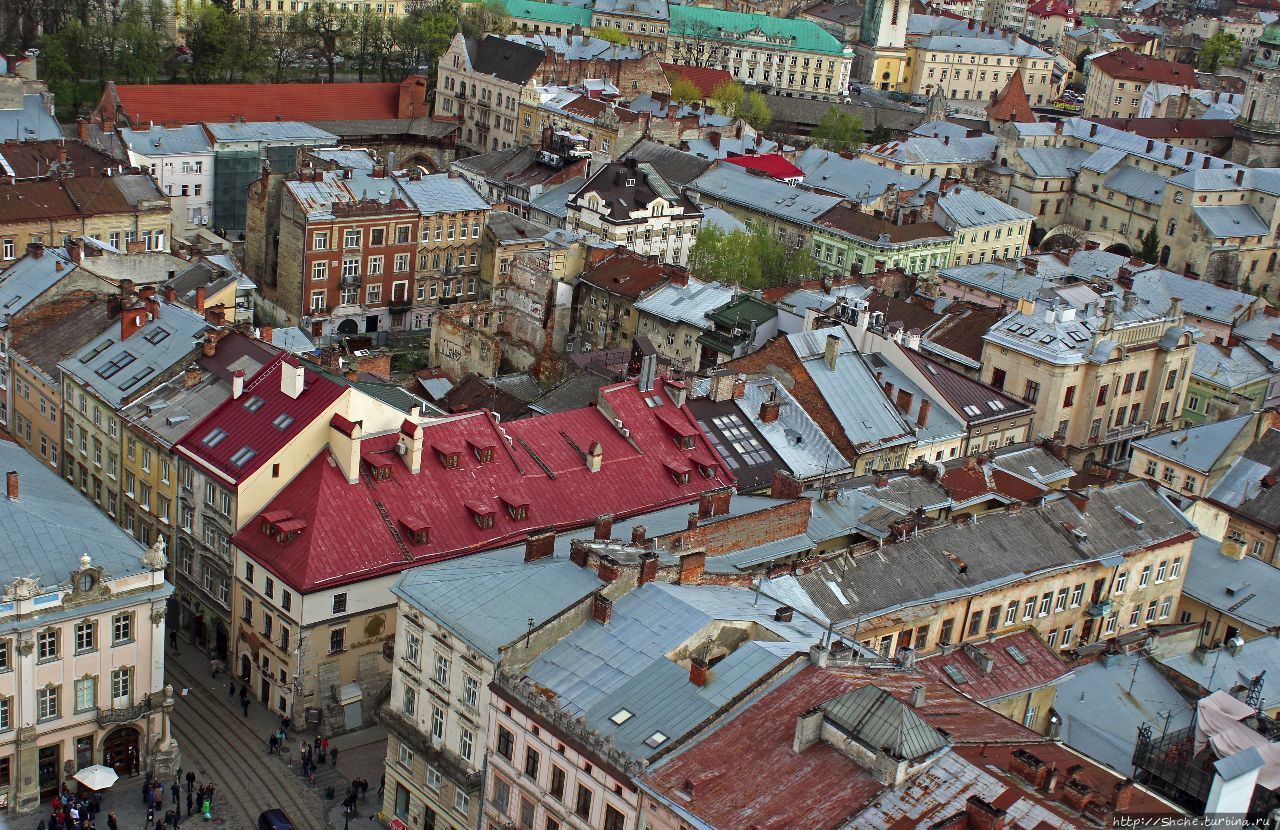 Городская ратуша Львов, Украина