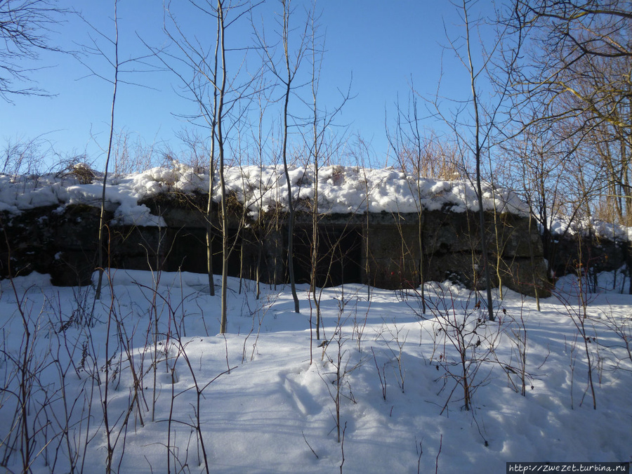 Забытый памятник  военной фортификации Высоцк, Россия
