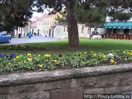 Клумба в декабре