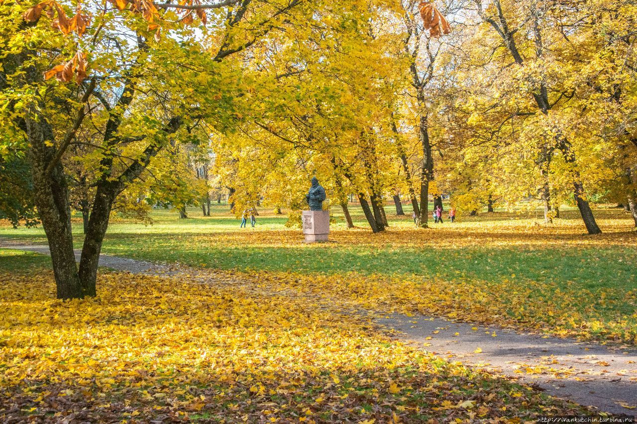 Солнечная осень Таллин, Эстония