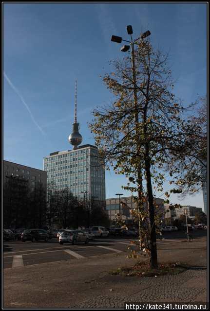 Золотая осень, секс-клуб и грибы Берлина. Часть 1. Парки Берлин, Германия