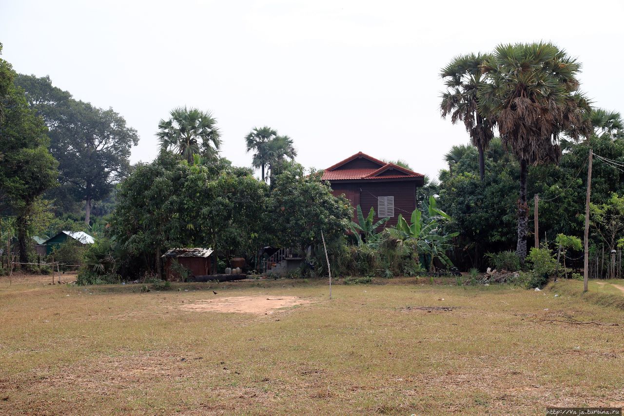 Природа и руины столицы империи Кхмеров Ангкор (столица государства кхмеров), Камбоджа