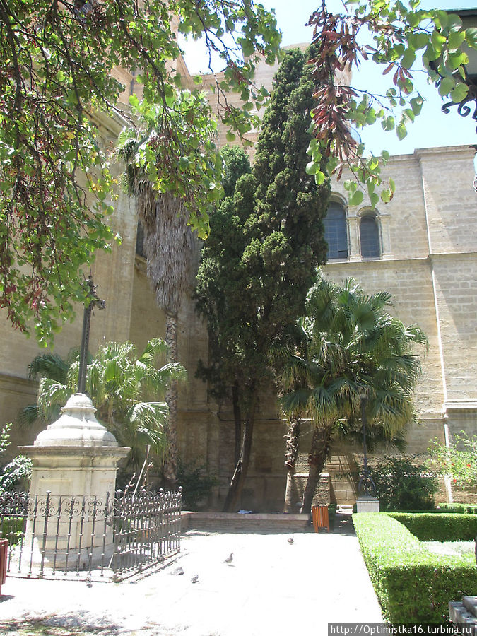 Кафедральный собор Малага, Испания
