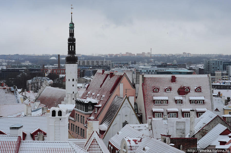 Красные крыши сразу преобразились Таллин, Эстония