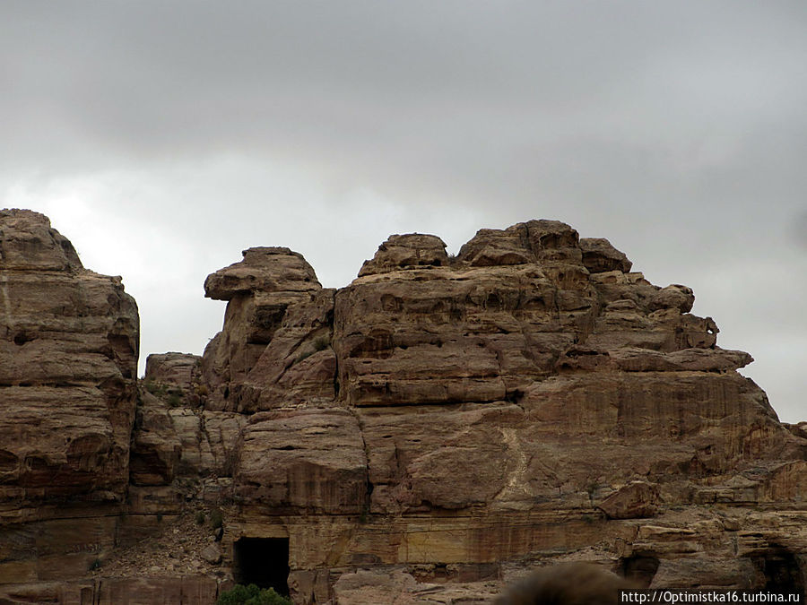 Гора-верблюд