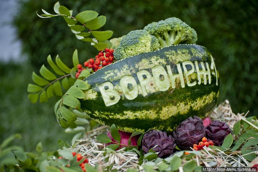 Ландшафтный дизайн на празднике фантазии (Воронеж) Воронеж, Россия