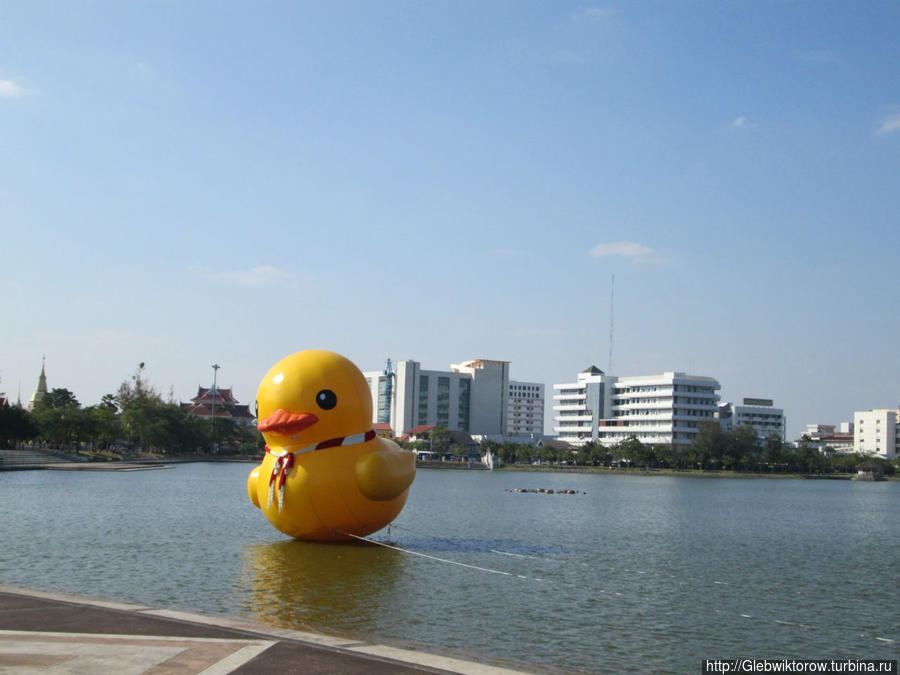 Nong Prachak Public Park Удон-Тани, Таиланд