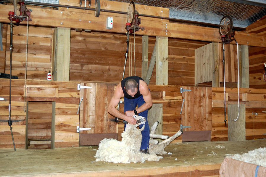 АГРОДОМ Agrodome новая Зеландия