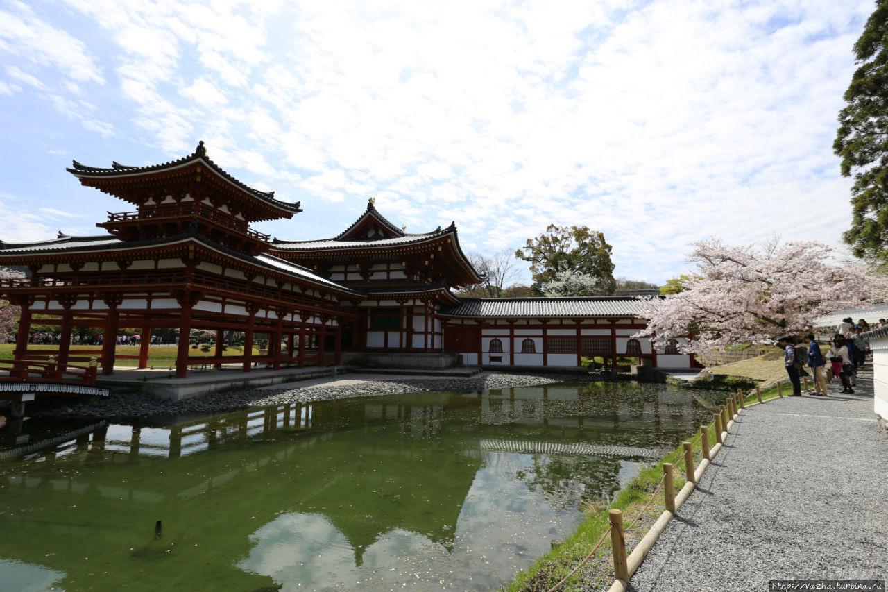 Храм Бёдо-ин Удзи, Япония